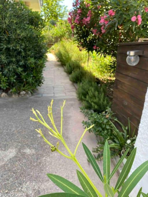 סורג Une Pause Au Paradis מראה חיצוני תמונה