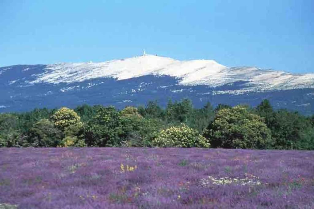סורג Une Pause Au Paradis מראה חיצוני תמונה