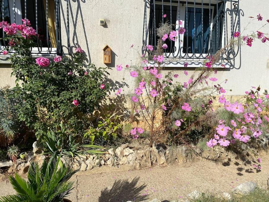 סורג Une Pause Au Paradis מראה חיצוני תמונה